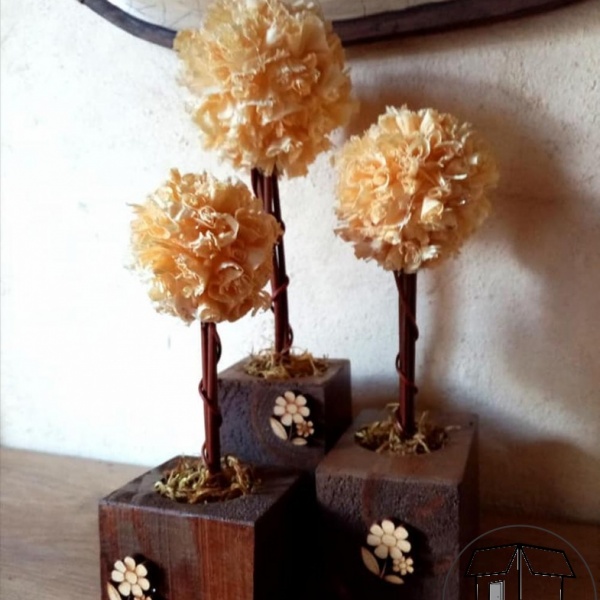 topiario_x3-lanczos3